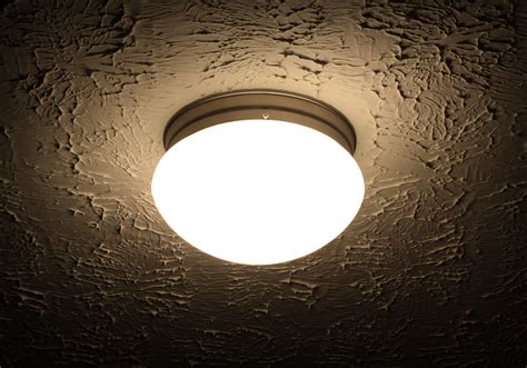 dead bugs in ceiling light fixtures